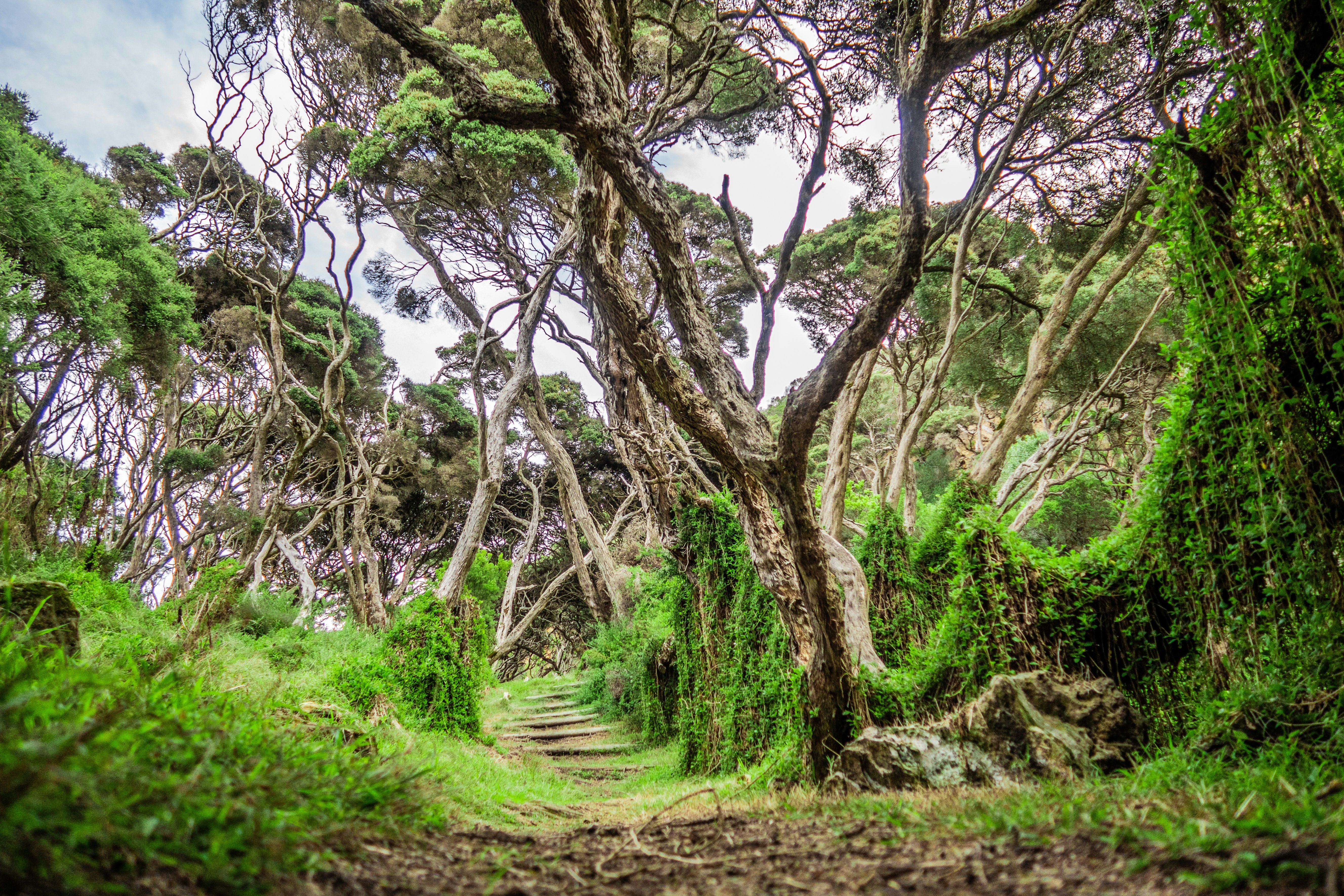 Photo by nathjennings_