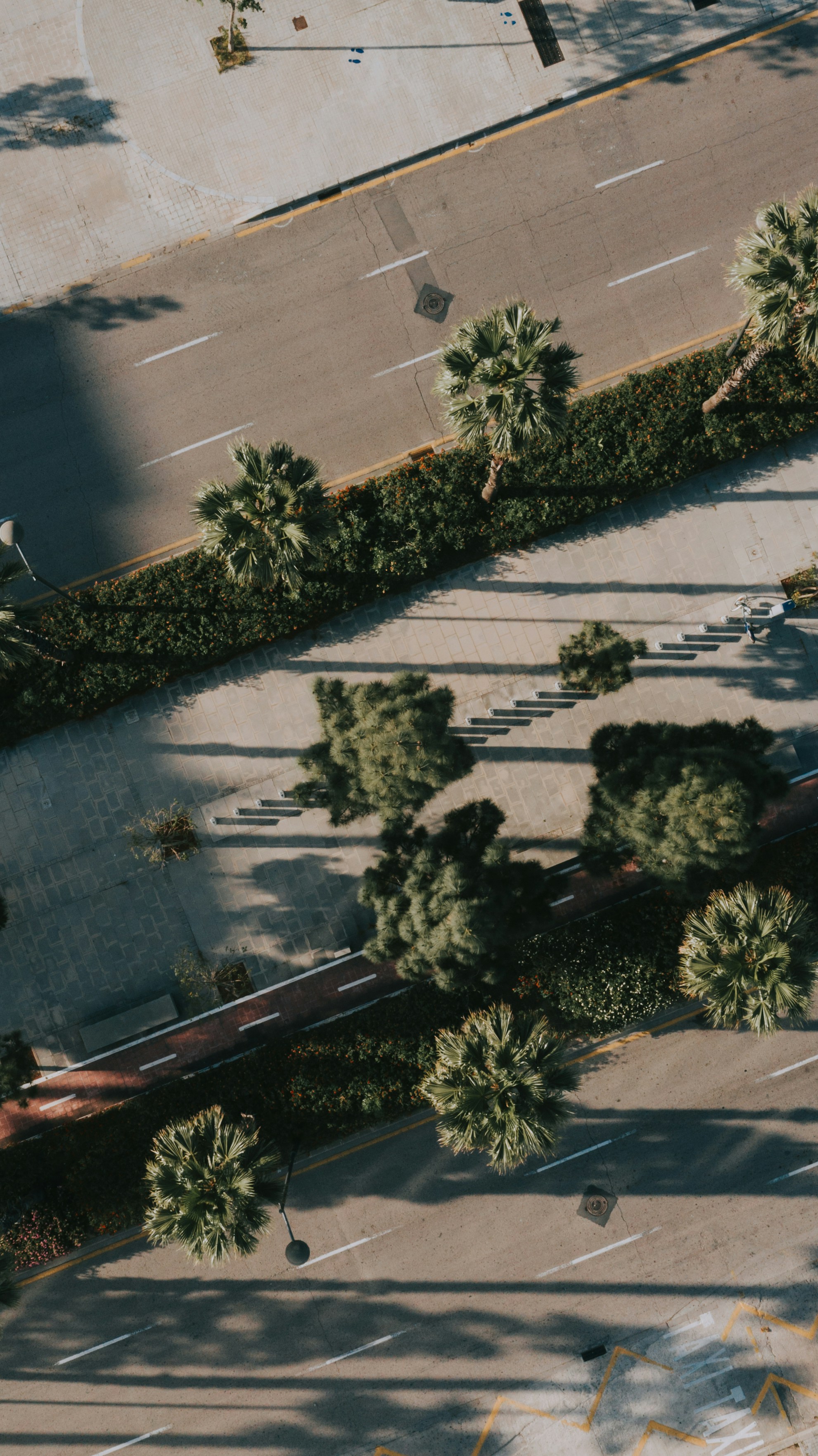 Photo by gabriel_tow