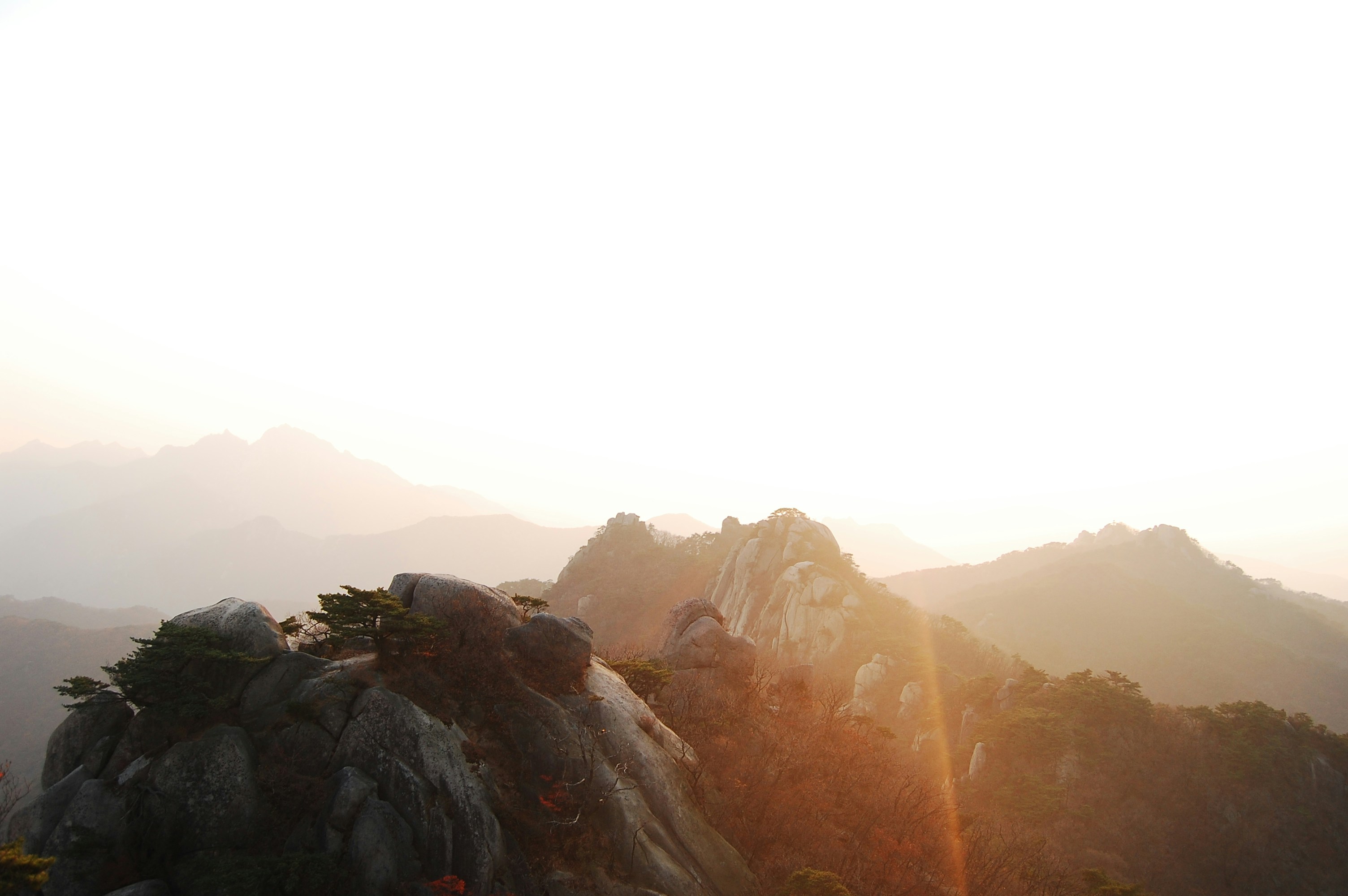 Photo by christof_goers