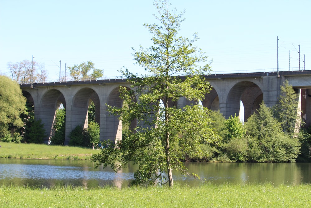 Puente de hormigón gris sobre el río durante el día