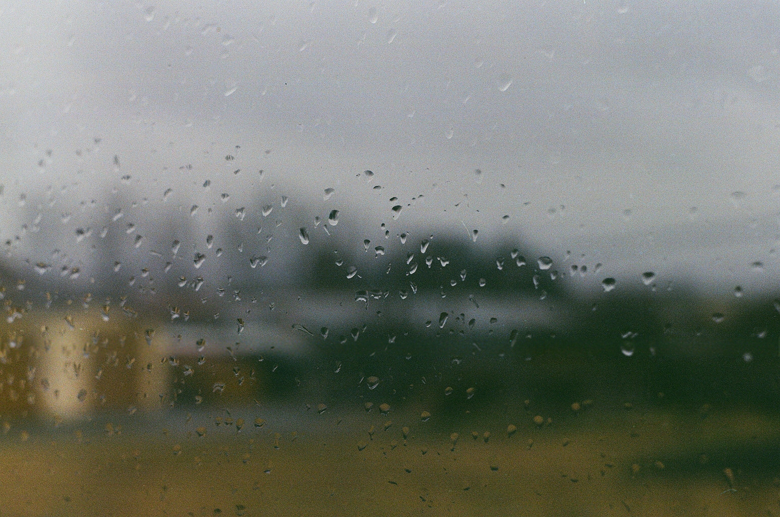 Photo by barnikakovacs