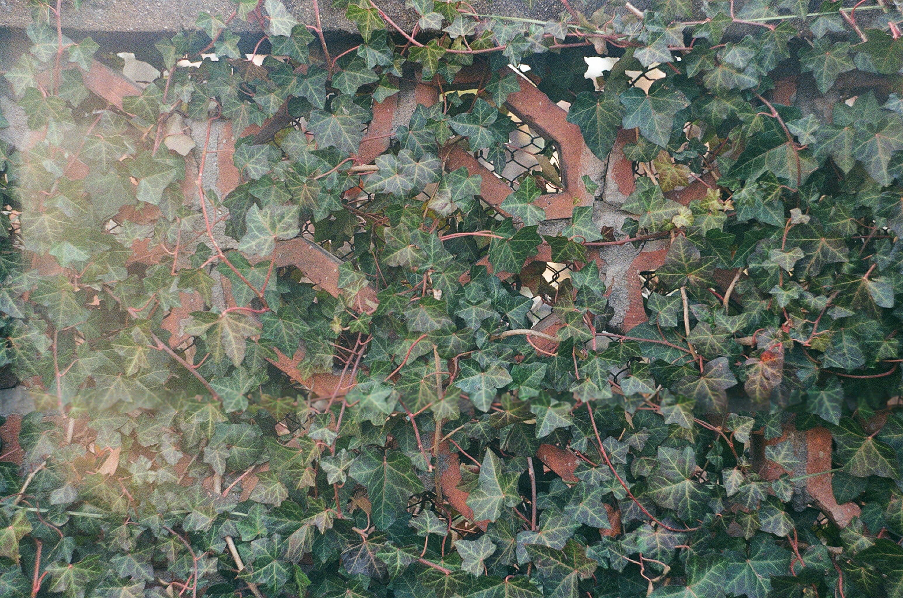 vintage patio wallpaper, wallpaper, Vintage Outdoor Patio: Design & Decor Ideas 5