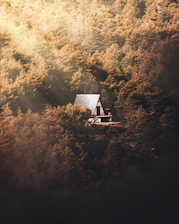 A warm, inviting A-frame cabin nestled among tall pine trees with soft sunlight filtering through the forest.