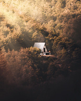 A warm, inviting A-frame cabin nestled among tall pine trees with soft sunlight filtering through the forest.