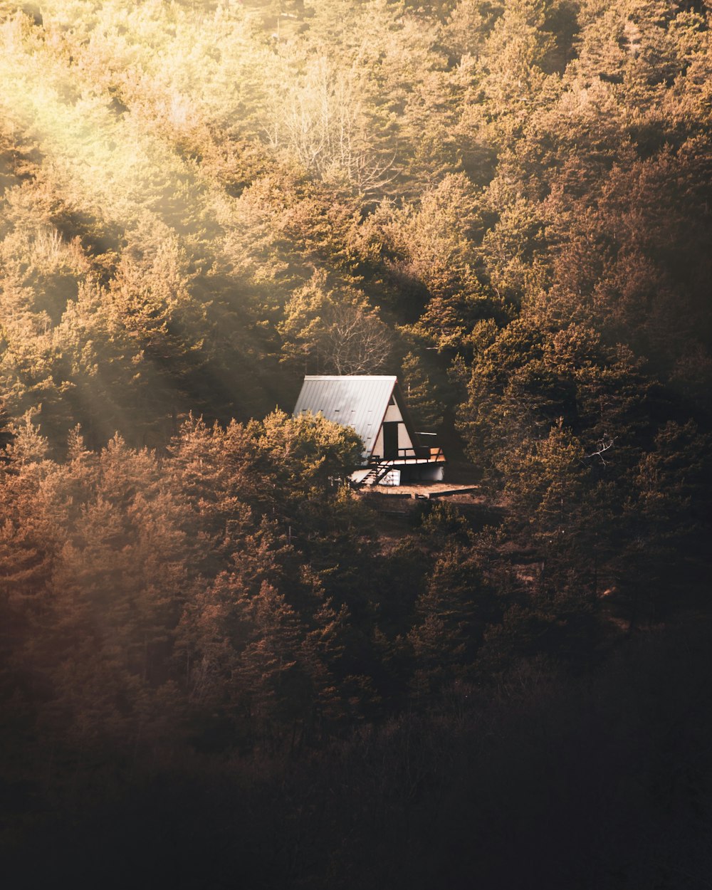 white and black house surrounded by trees