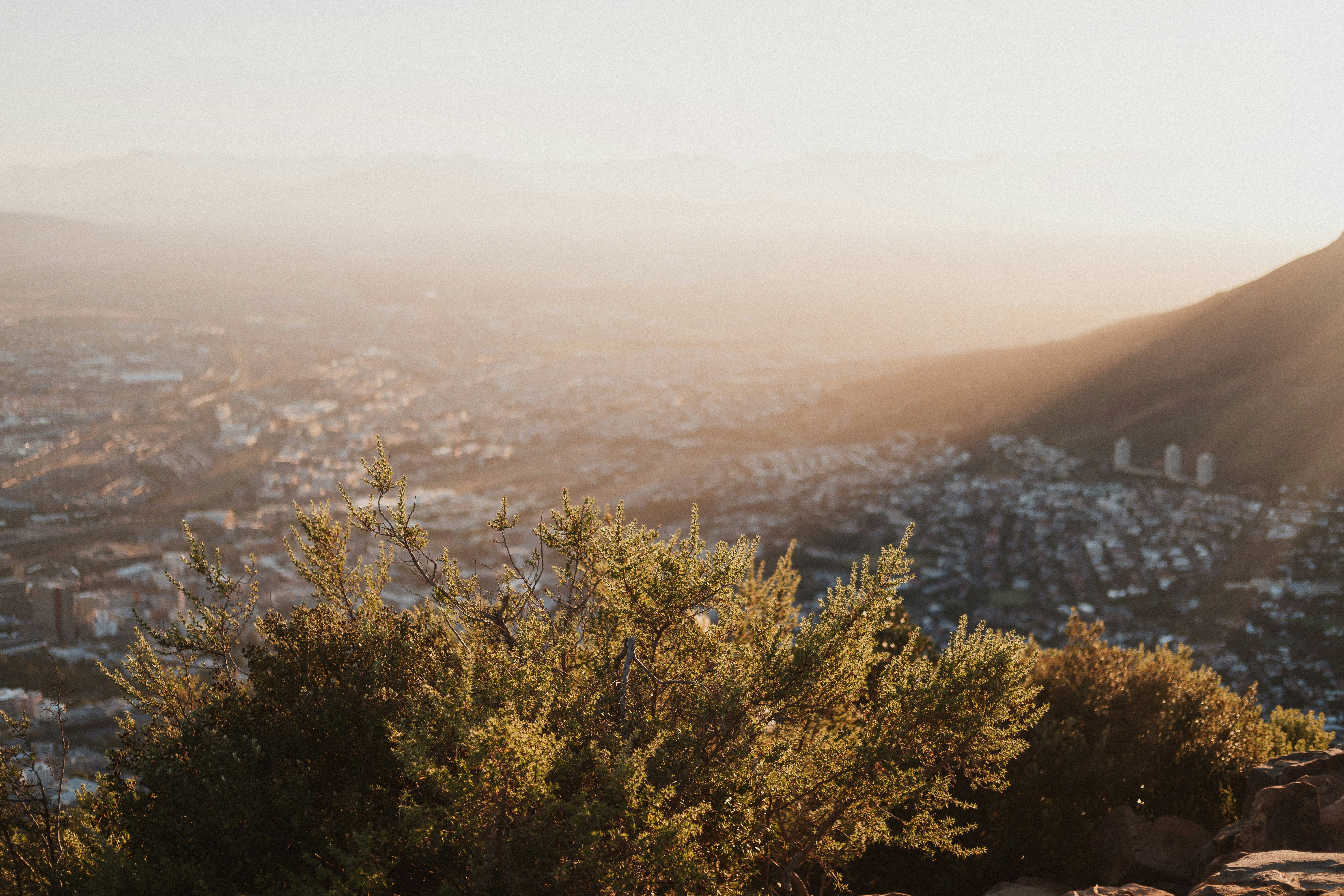 Photo by timalanjohnson