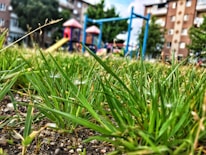 Close-up of families enjoying a community playground surrounded by fresh landscaping.