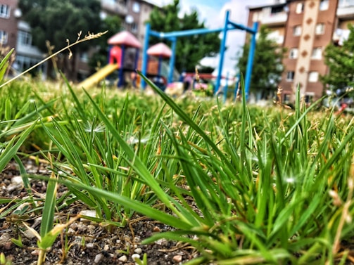 Close-up of outdoor play equipment like a football, frisbee, and jump ropes neatly arranged on the grass.