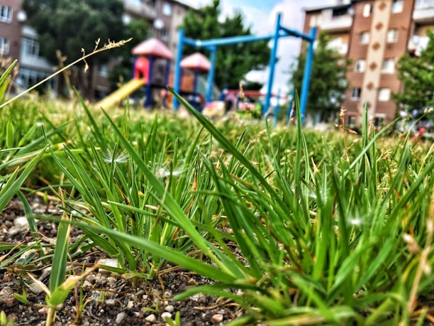 Wide shot of a playground area with new synthetic grass and colorful markings, children playing.