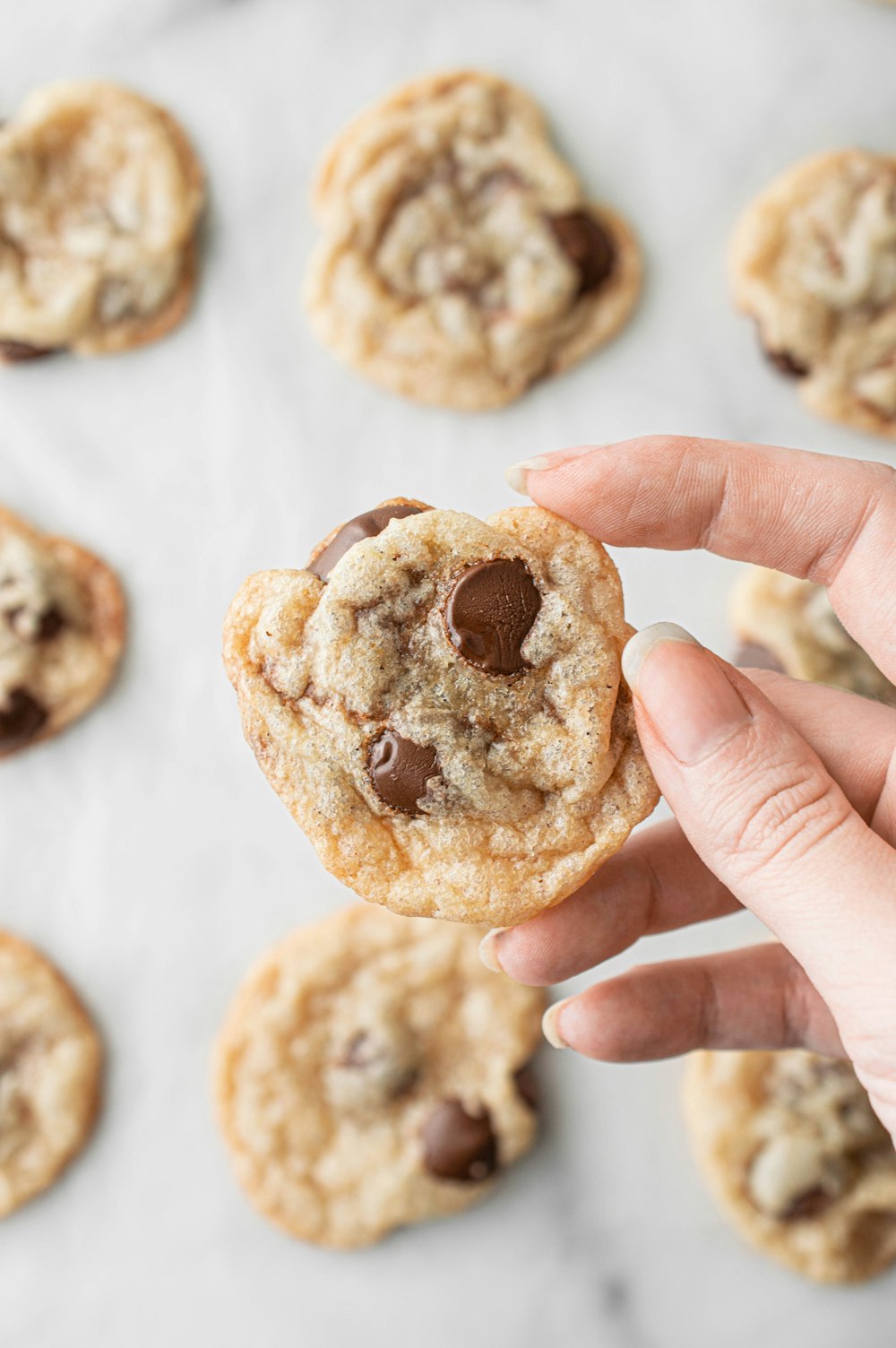 person holding brown cookies on white textile