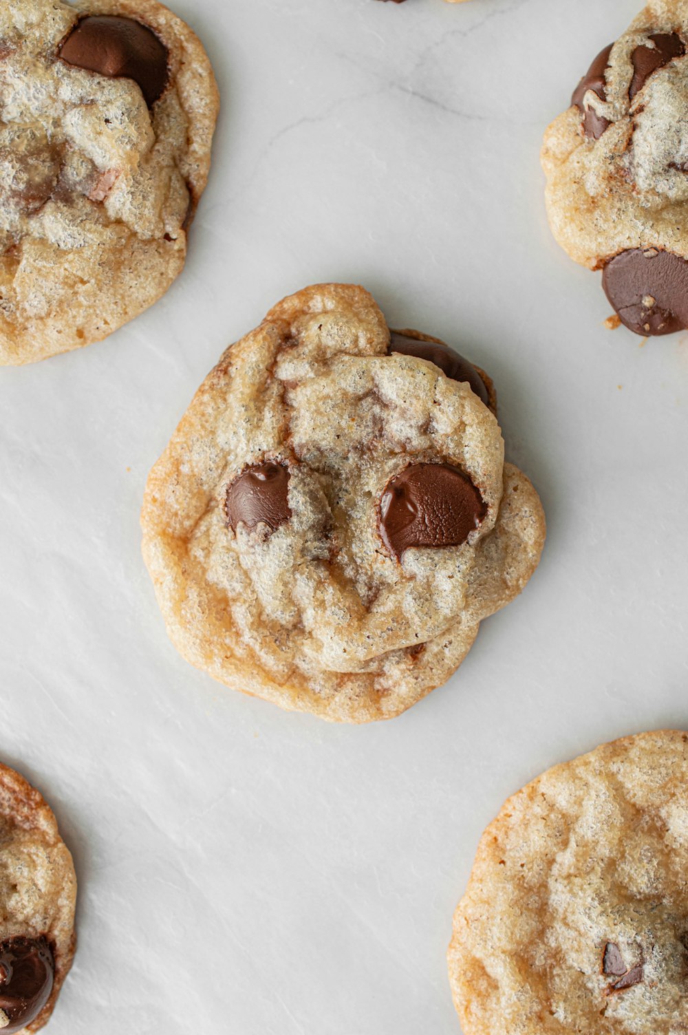 brown cookies on white textile