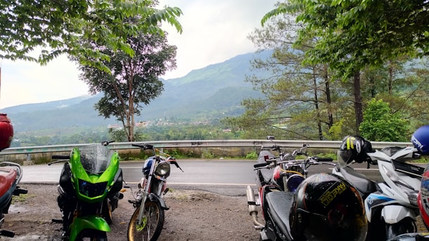 A group of eight Harley Davidson motorcycles parked on a scenic road during a sunny day ride.