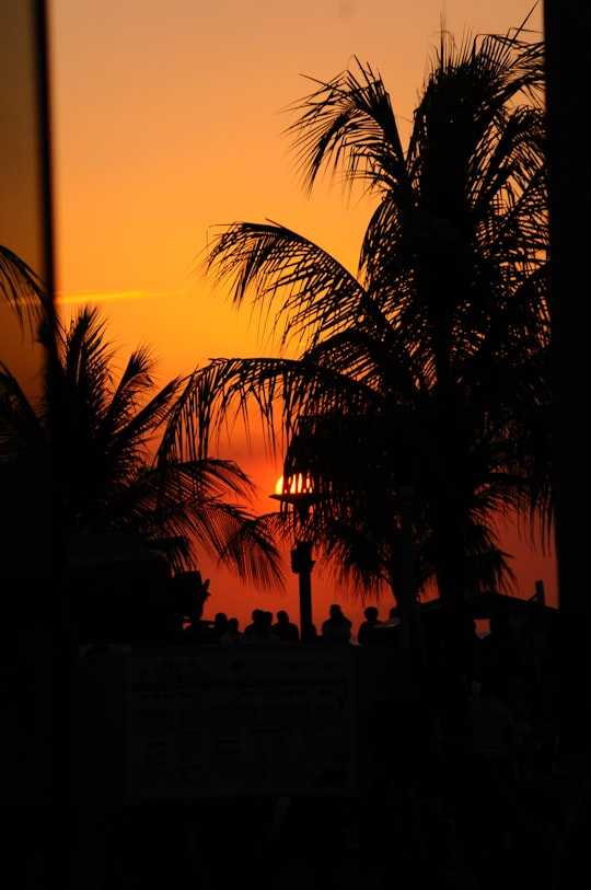 palm trees near building during sunset in SM Mall of Asia Philippines