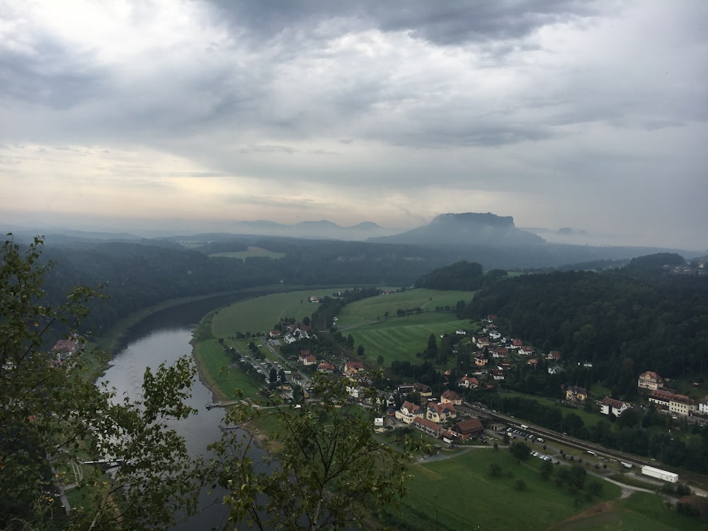 aerial view of green trees and river during daytime