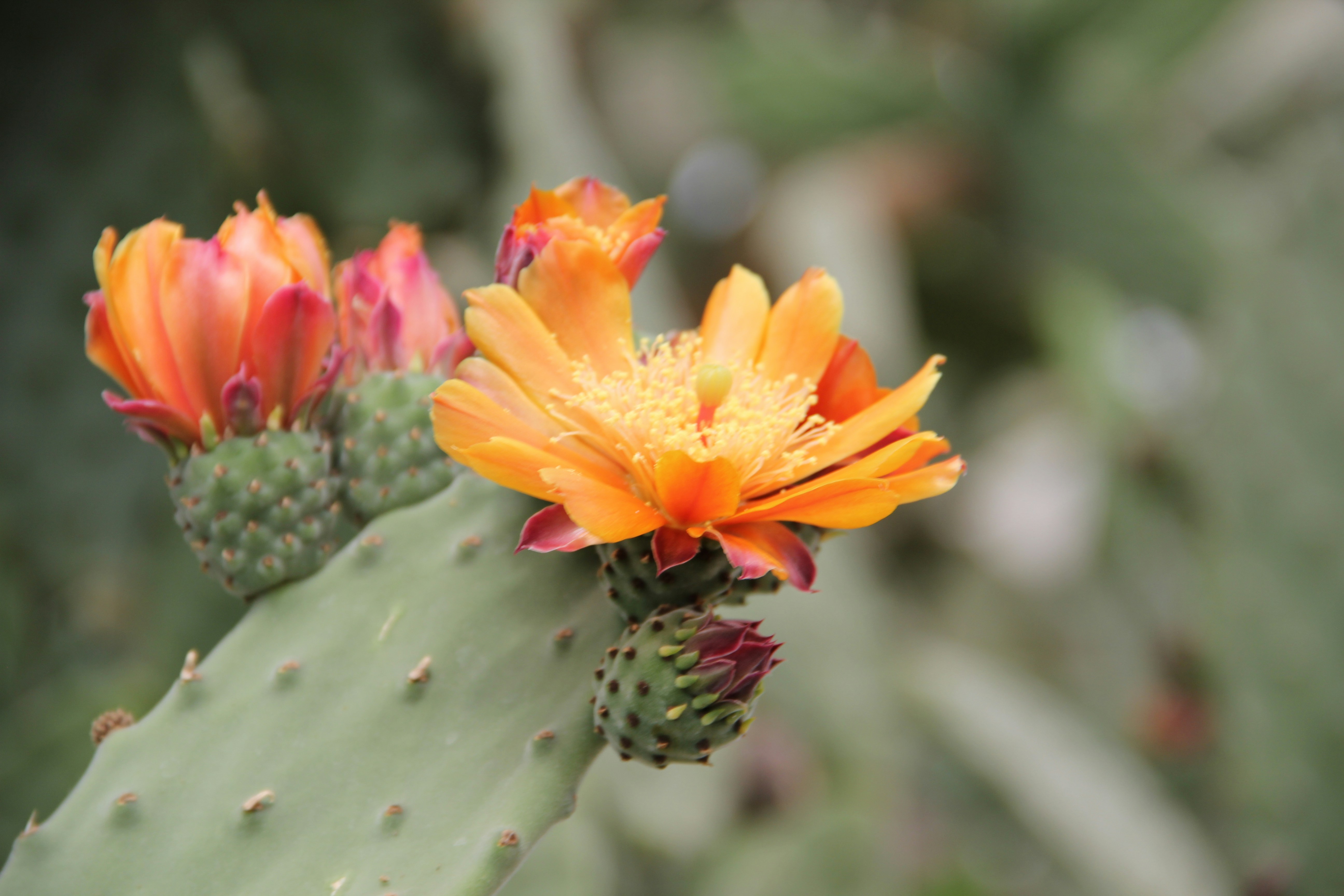 Photo by shalevcohen