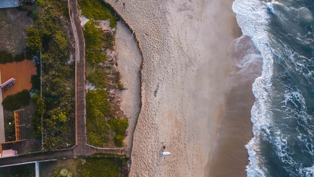 Gente en la playa durante el día