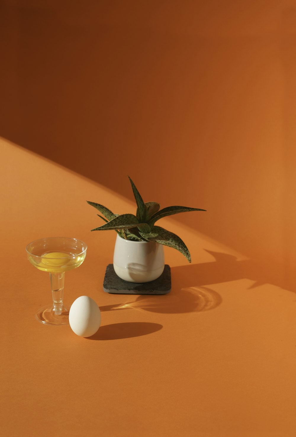 green plant in white ceramic pot on brown wooden table