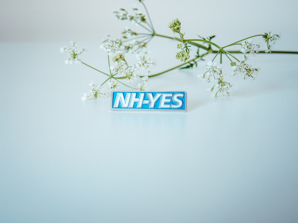 a blue and white sticker with the word nyyes on it
