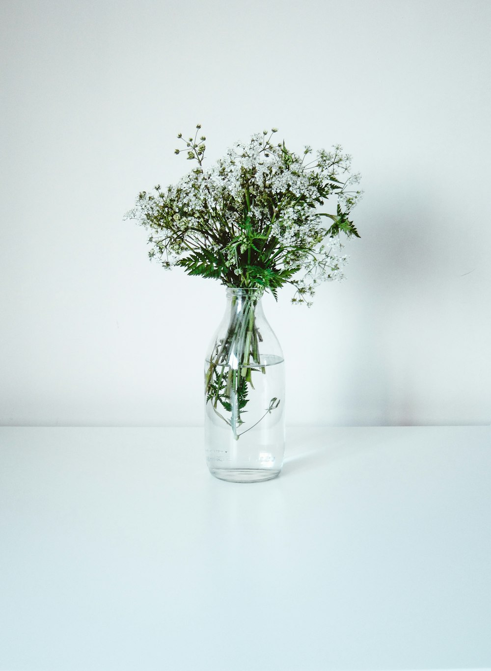 green and white flower in clear glass vase