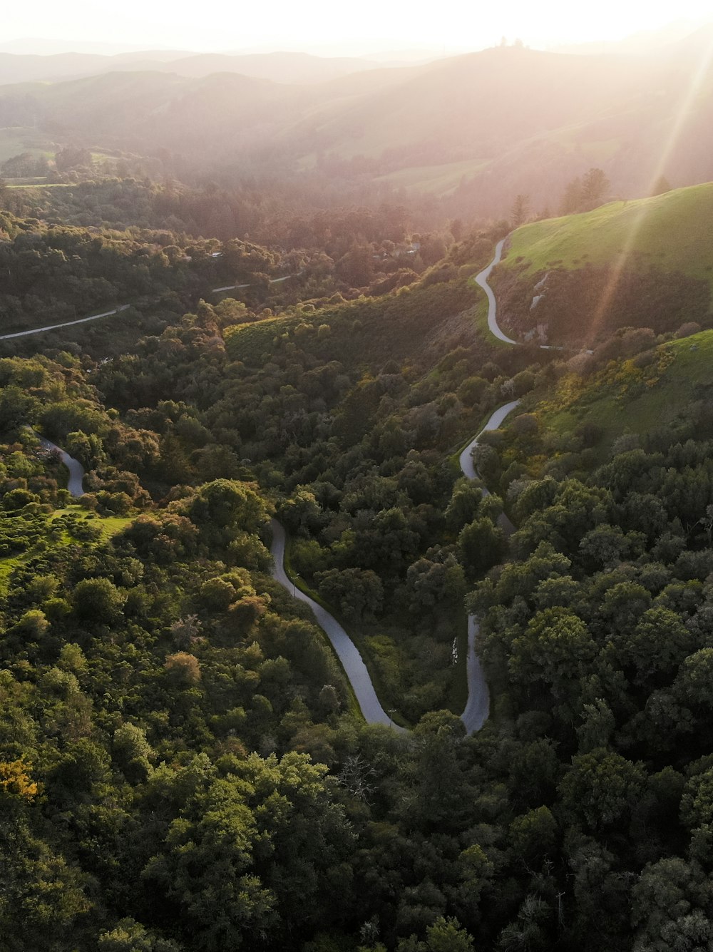 aerial view of green trees and brown mountains during daytime