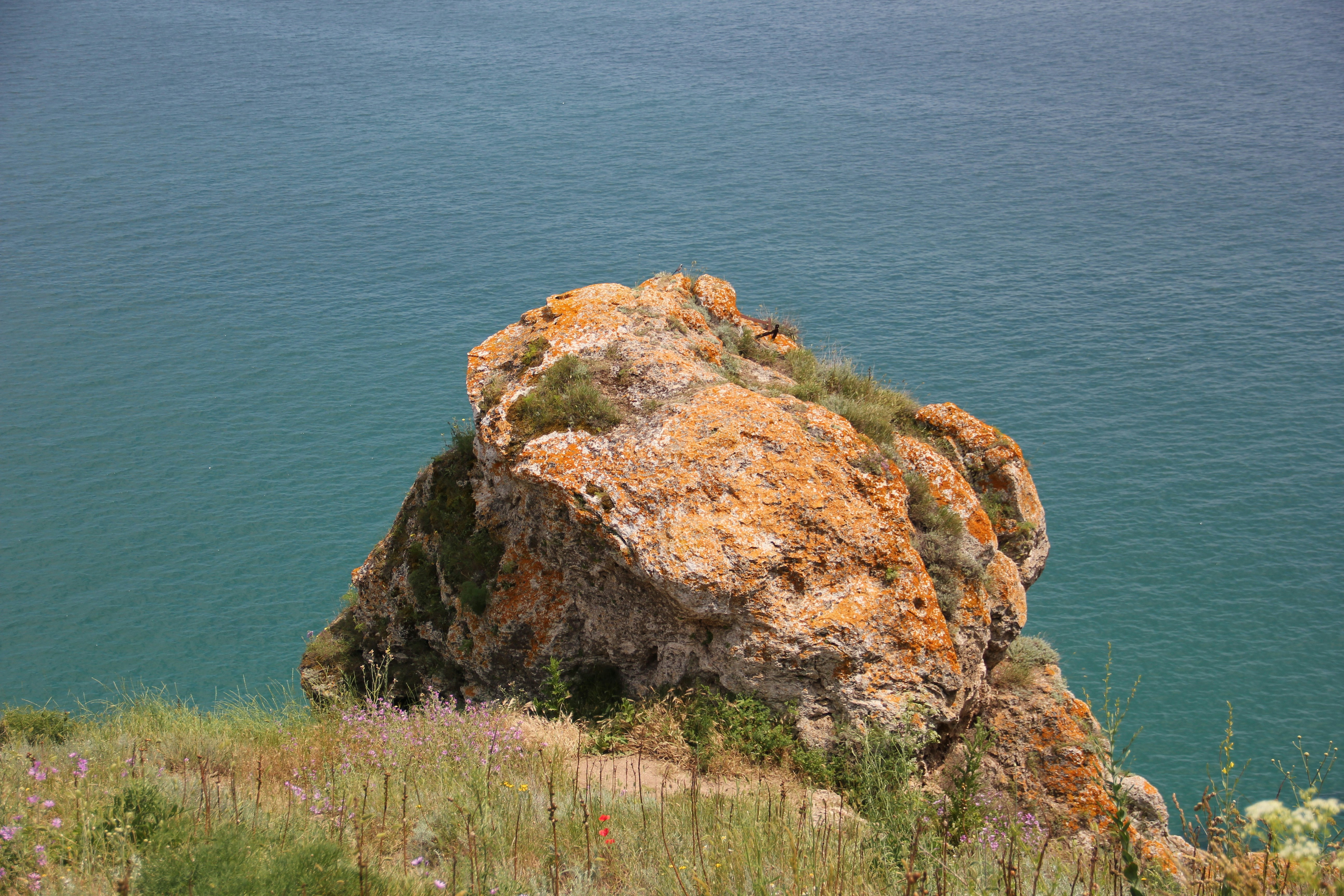 Photo by shalevcohen