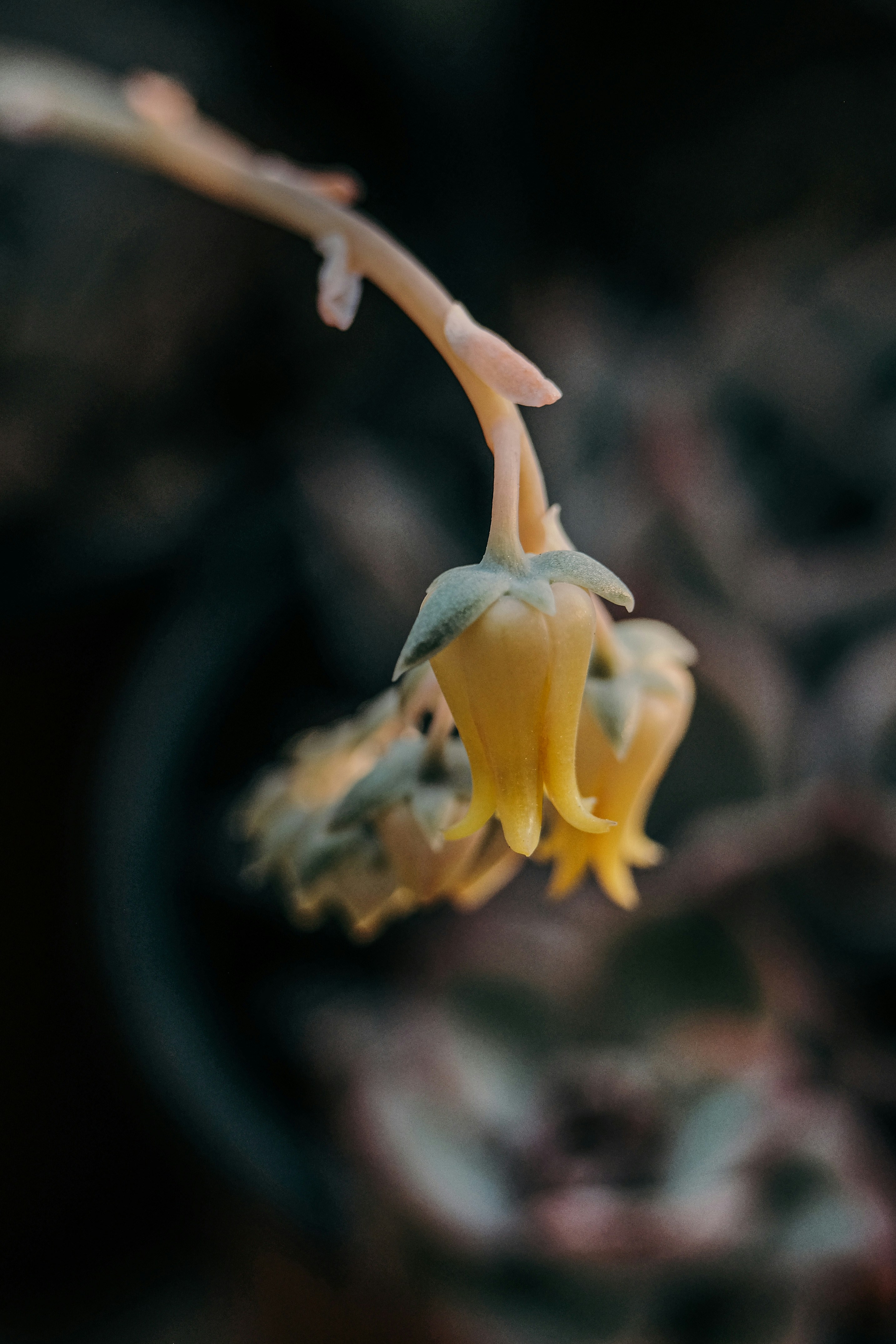 Photo by insungpandora