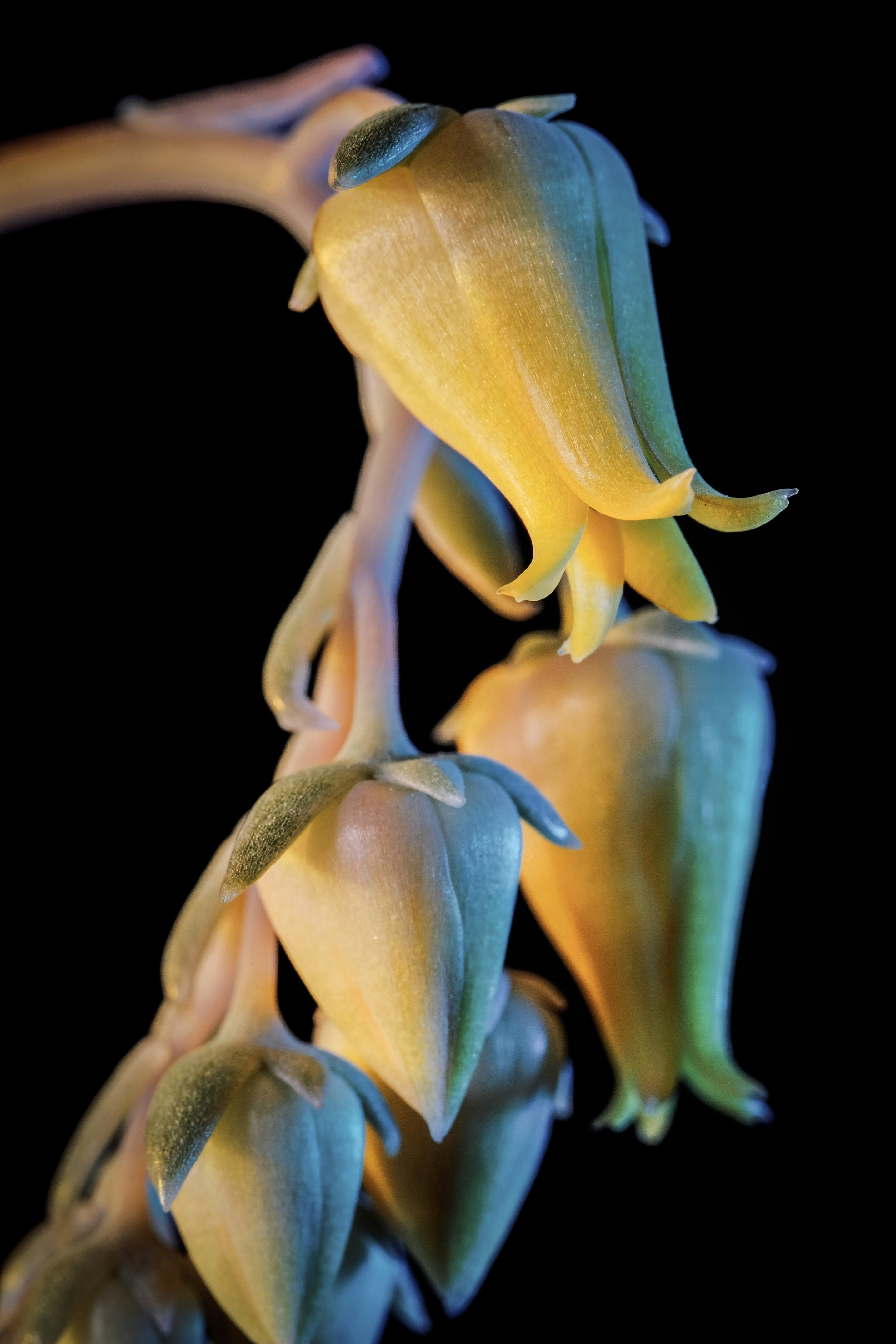 Photo by insungpandora