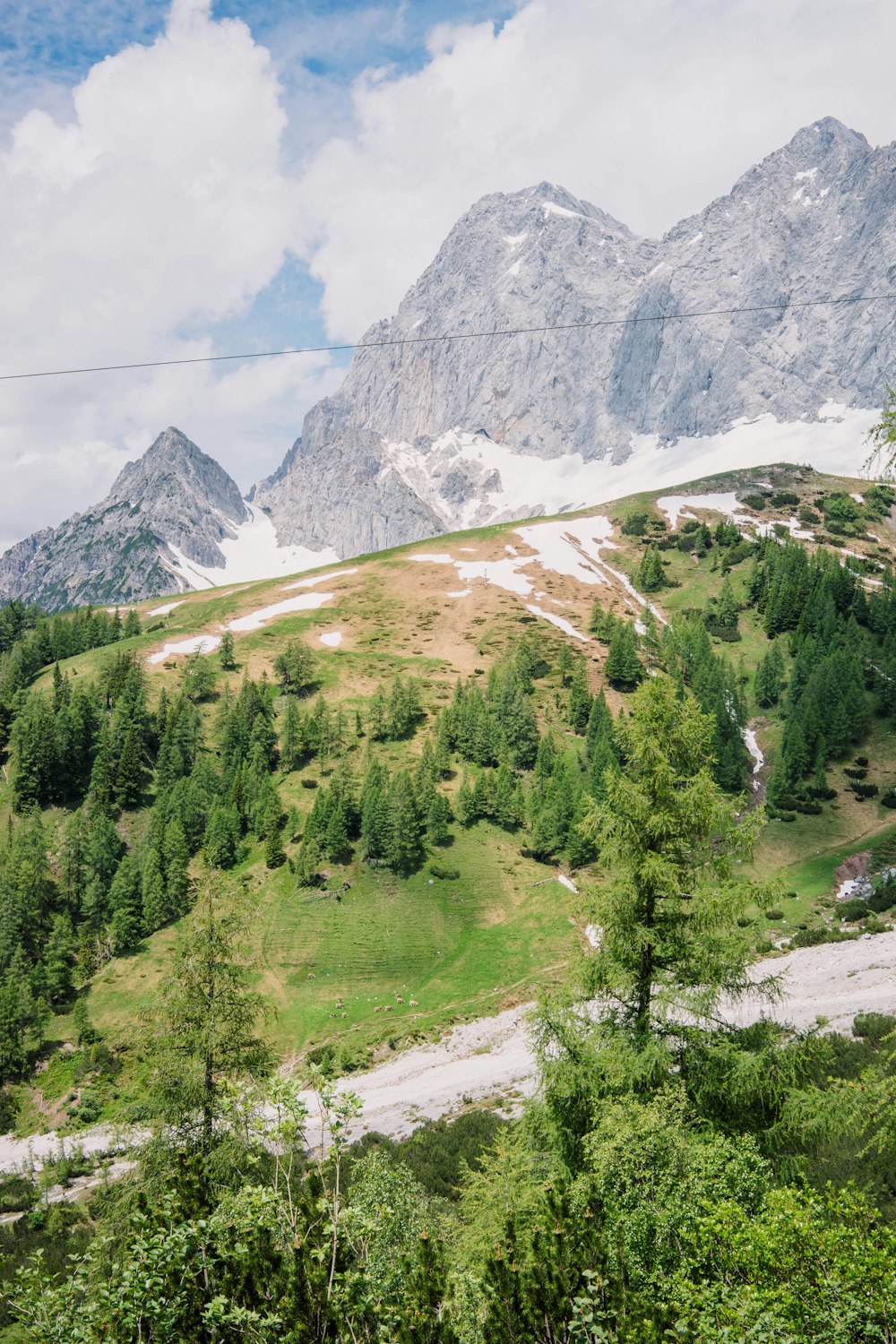 green trees near snow covered mountain during daytime