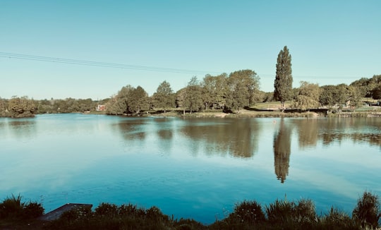 body of water near trees during daytime in Arrow Valley Country Park United Kingdom