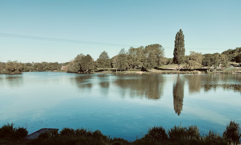 body of water near trees during daytime