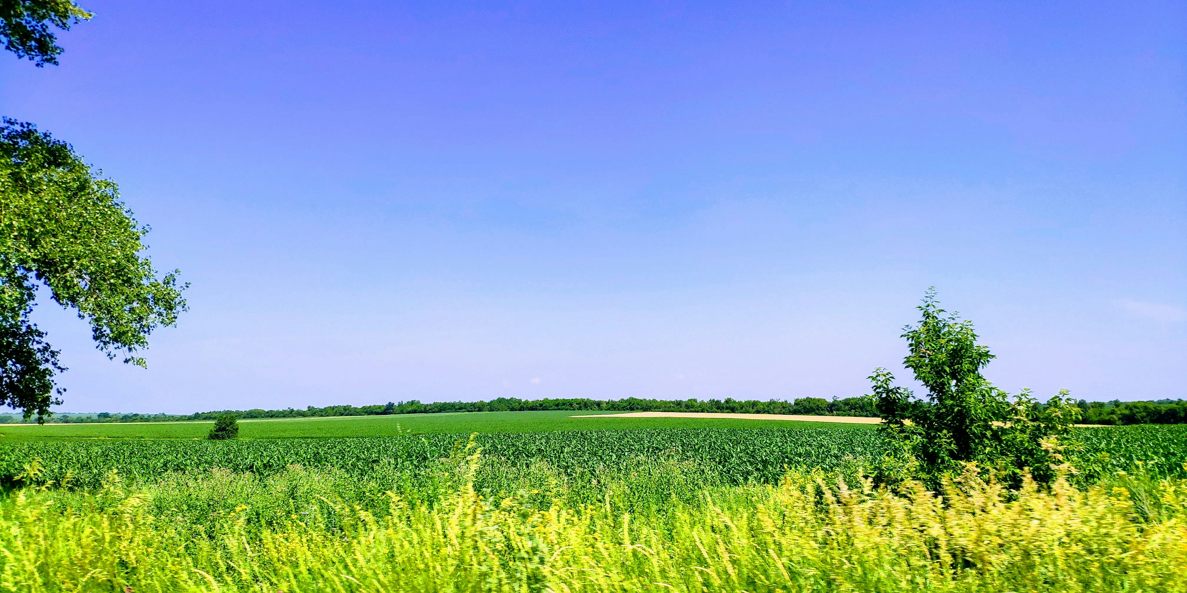 Photo by annakovalenko