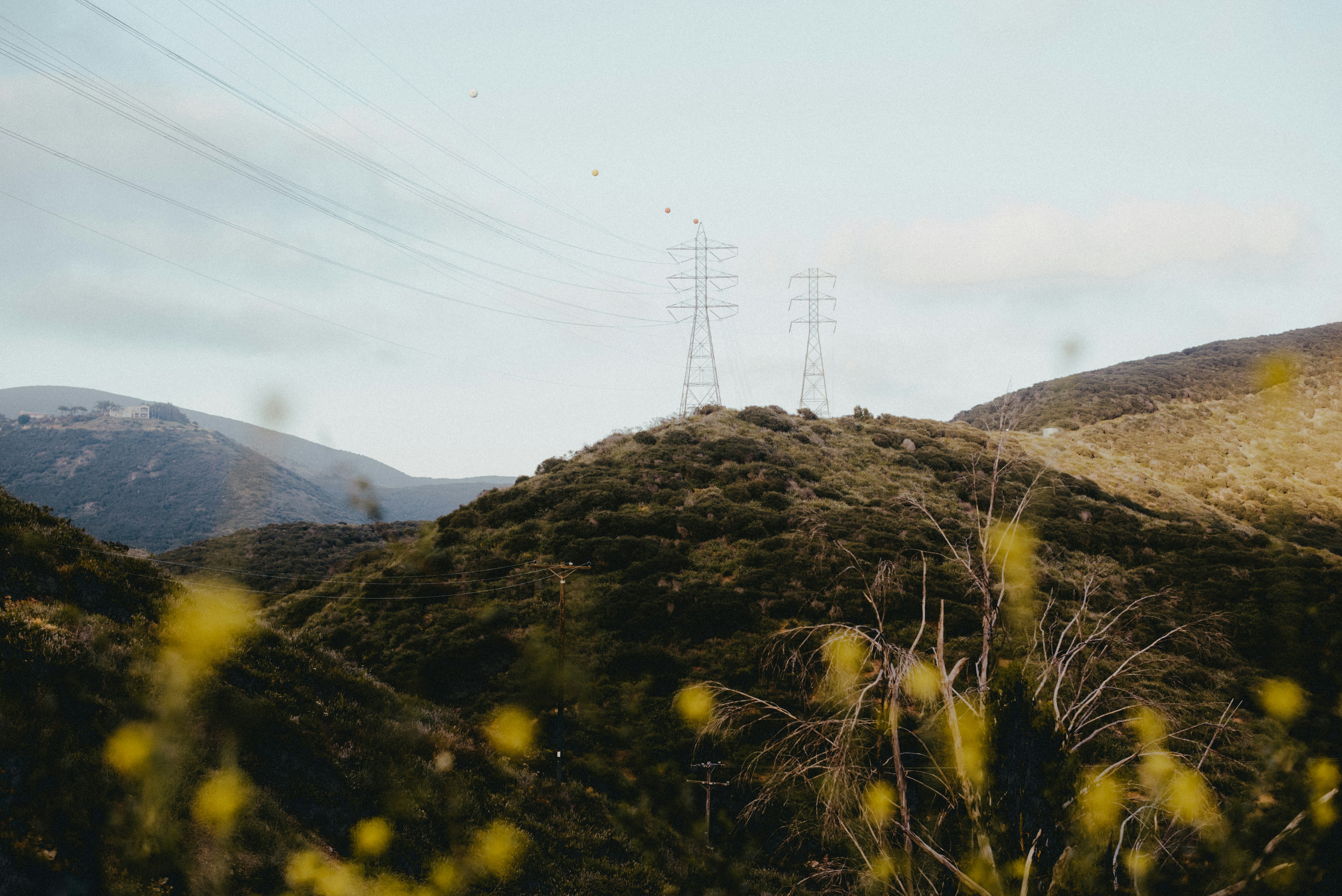 Photo by octoberroses