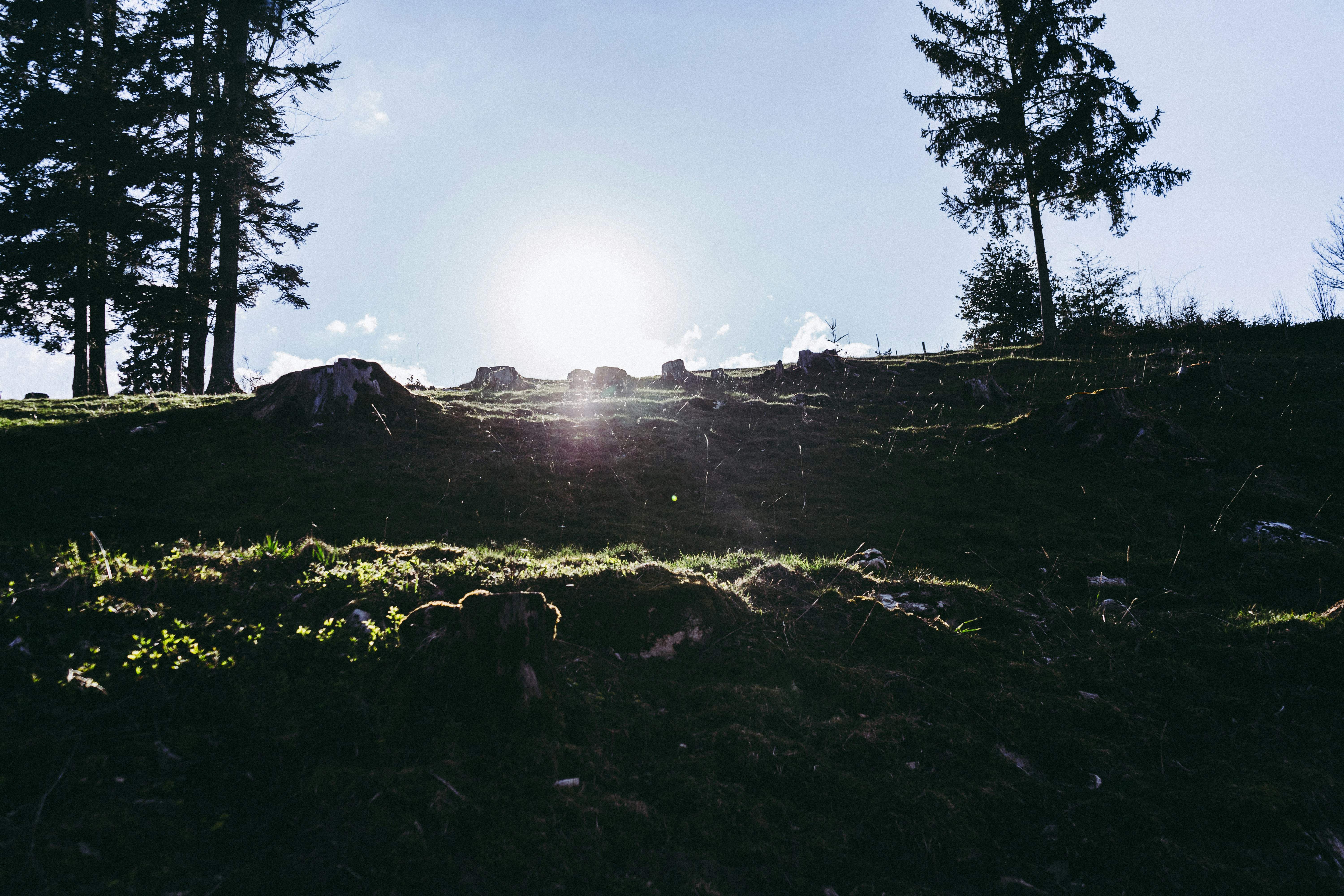 Photo by virussinside