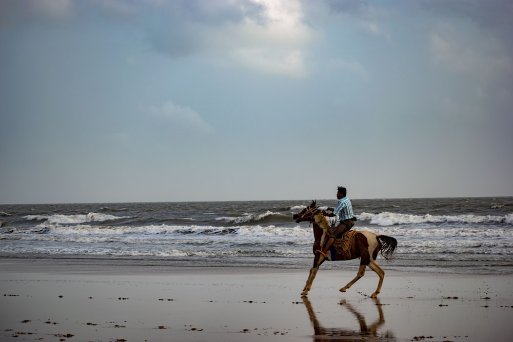 Un uomo che cavalca un cavallo sulla spiaggia