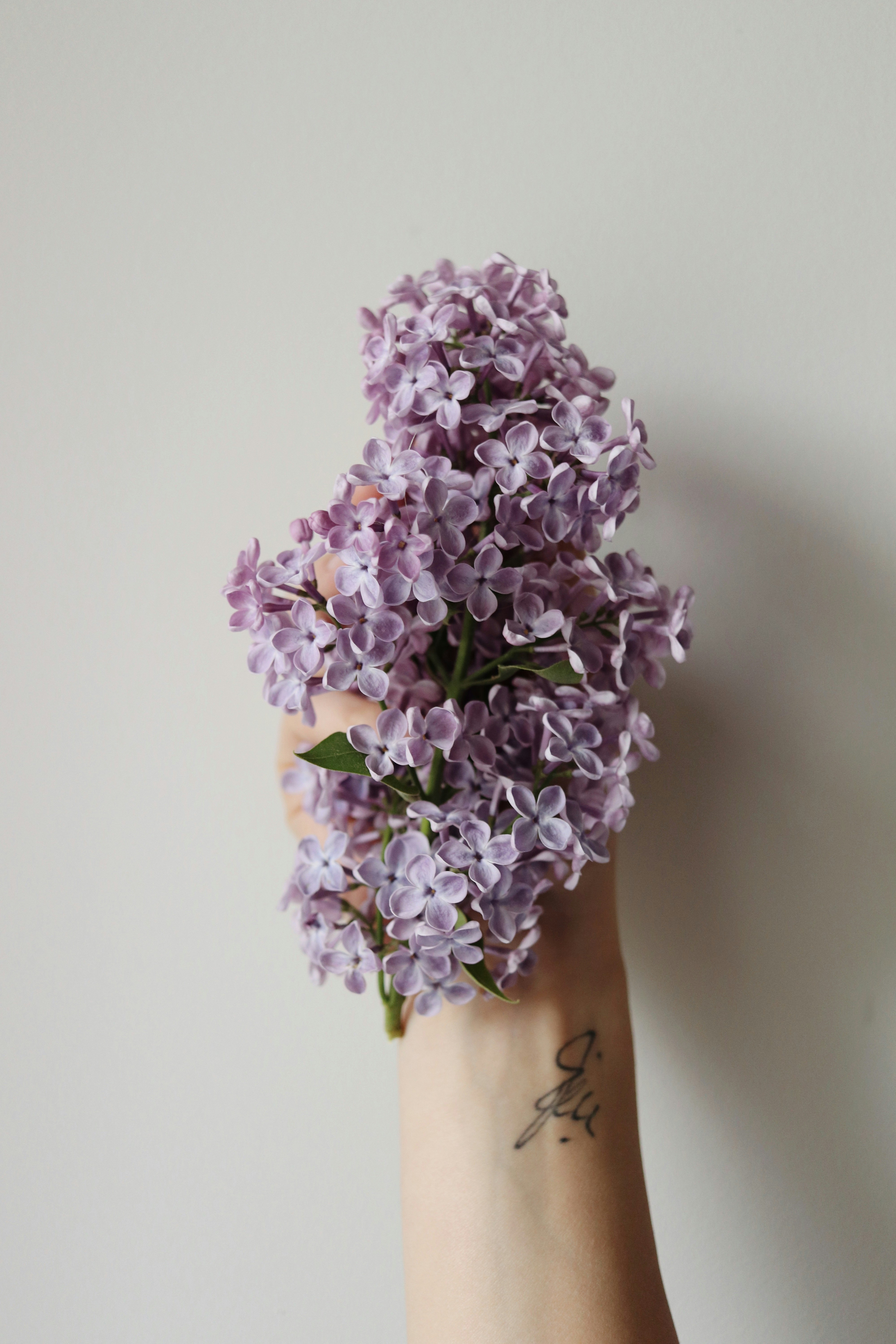 purple flowers on brown wooden vase