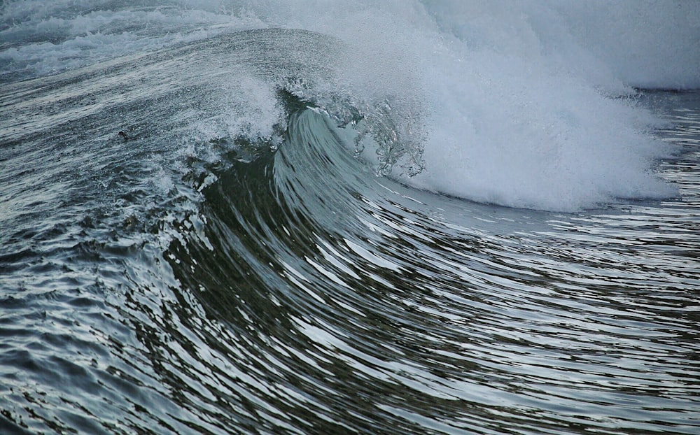 クローズアップ写真の水波