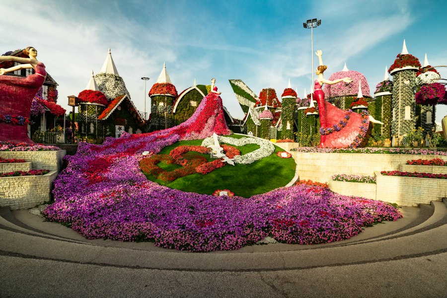 A cottage completely covered in red, pink and purple flowers at Dubai Miracle Garden under a clear sky