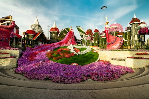 Miracle Garden
