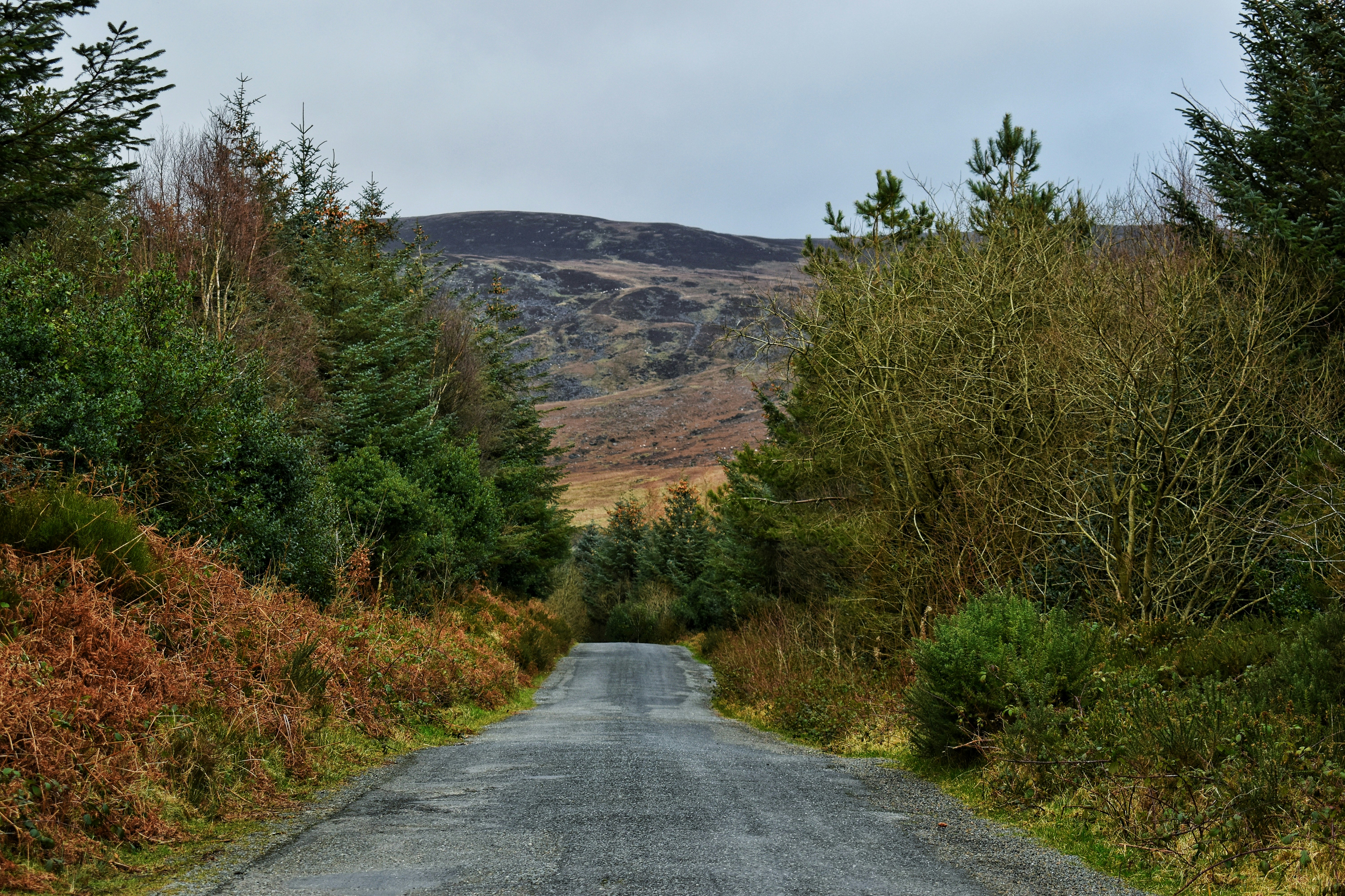 Photo by kayleigh1200o
