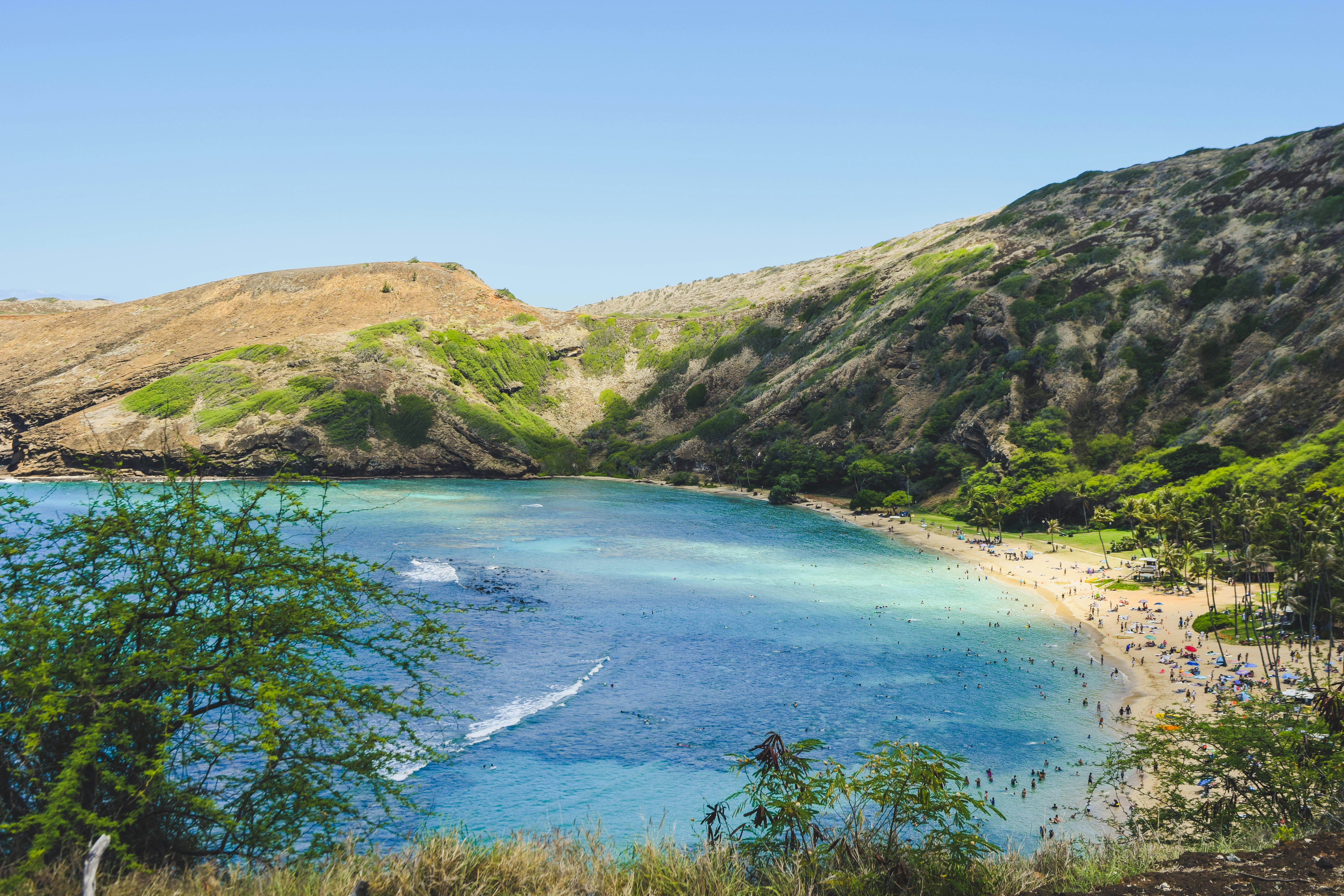 Una spiaggia con acqua blu con Hanauma Bay sullo sfondo foto – Immagine  gratis di Mare su Unsplash, image size:3000x2000