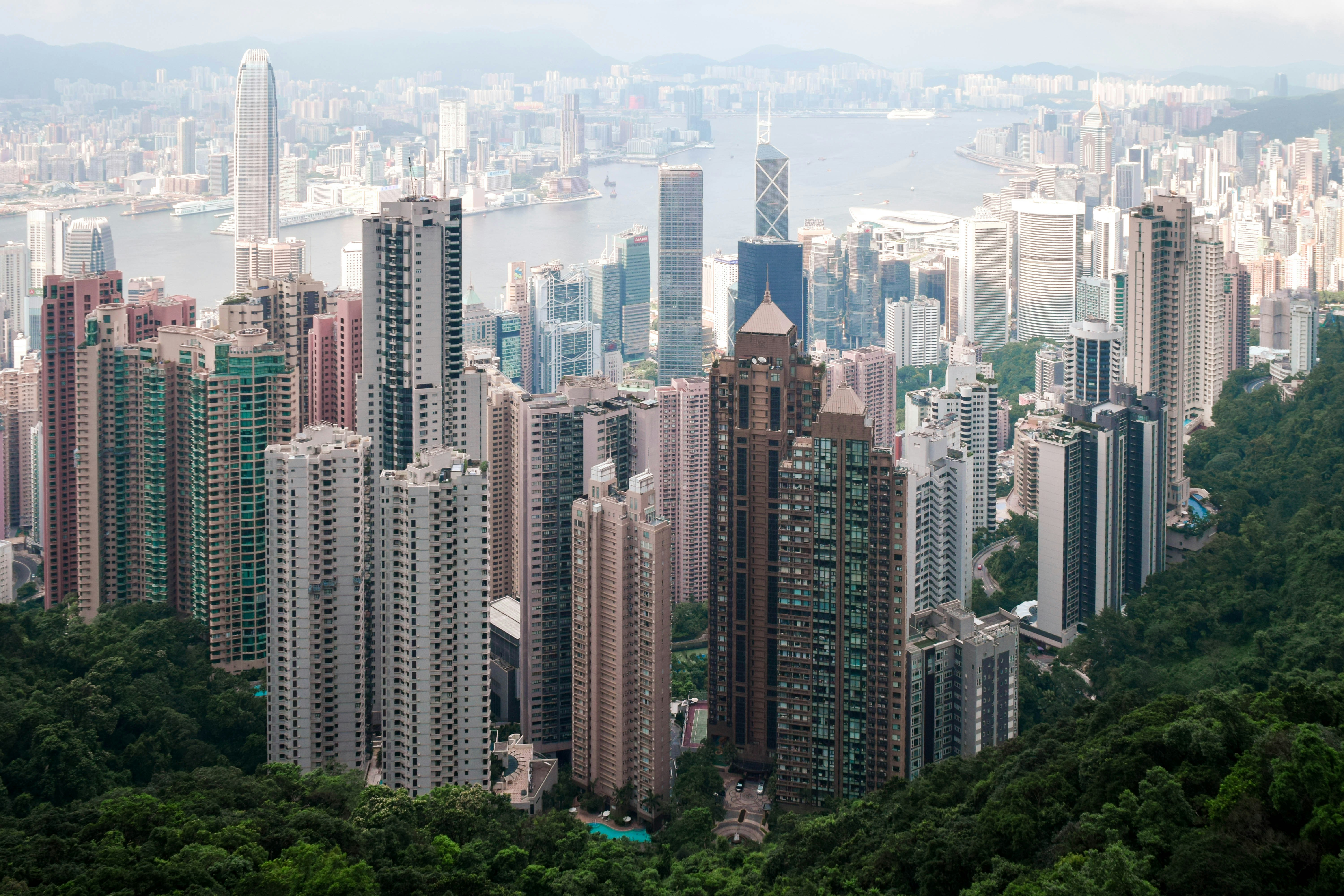 Photo by katie_musial