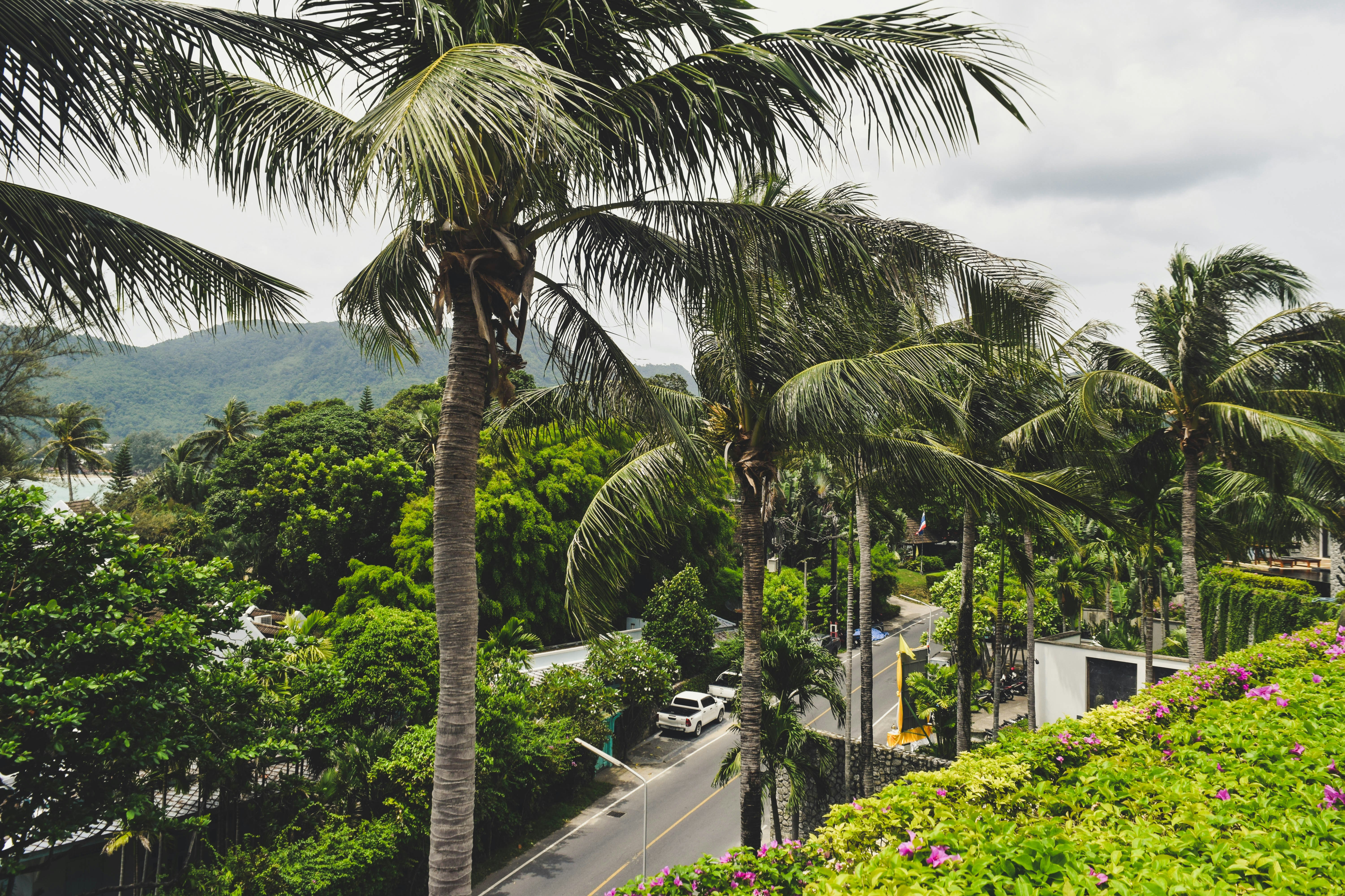 Photo by katie_musial