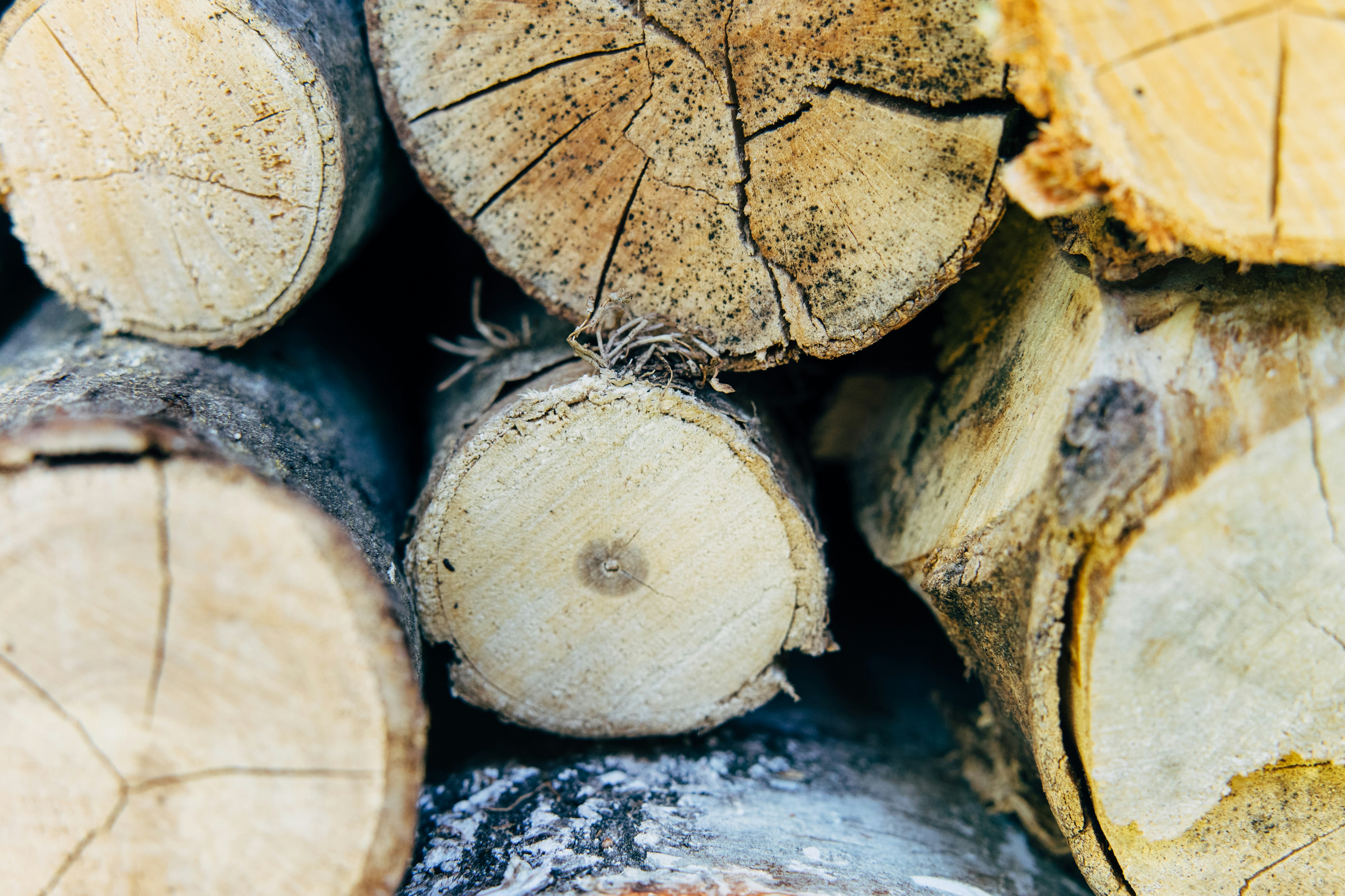 Photo by markuswinkler