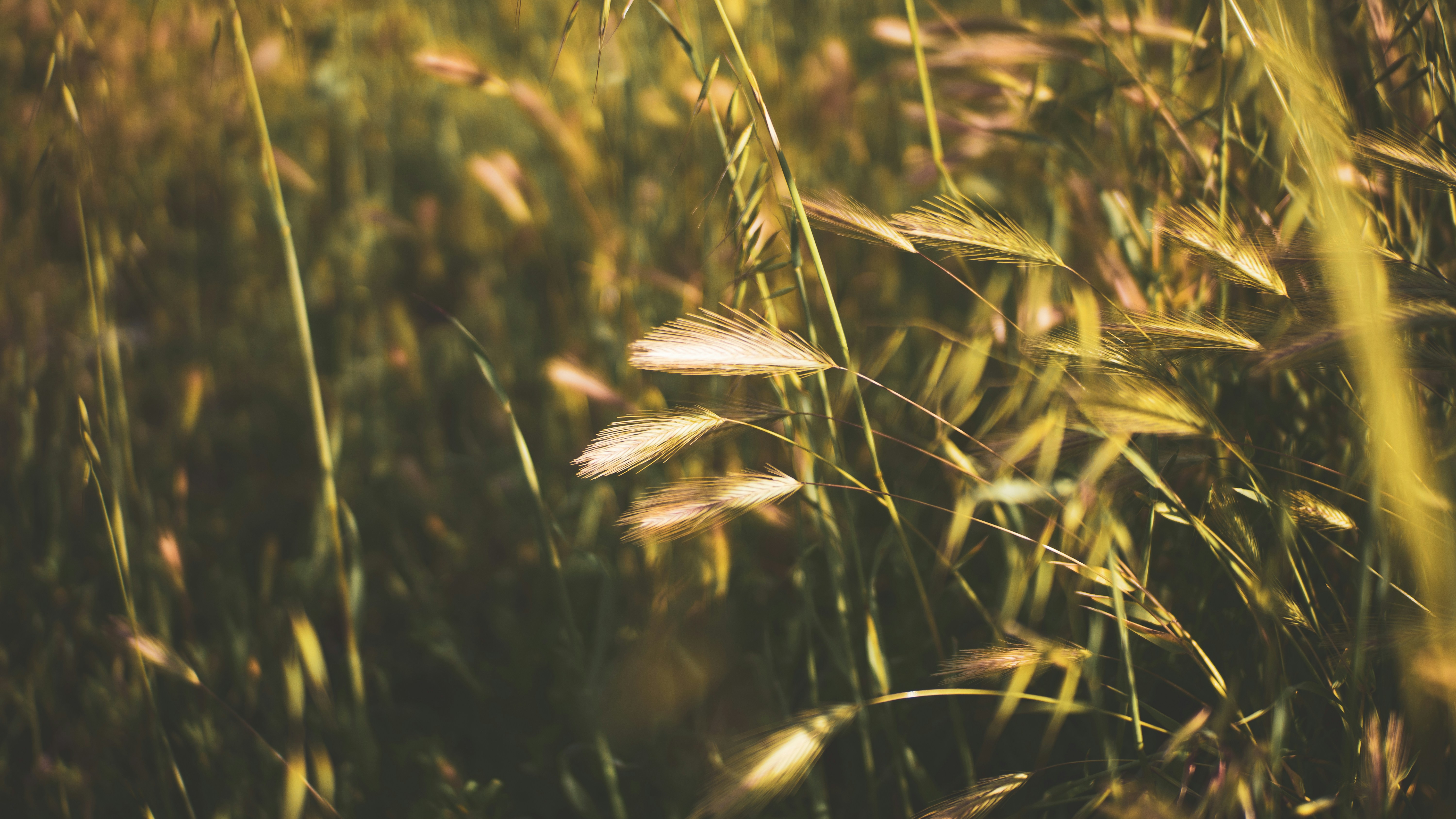 Photo by garrettpatz