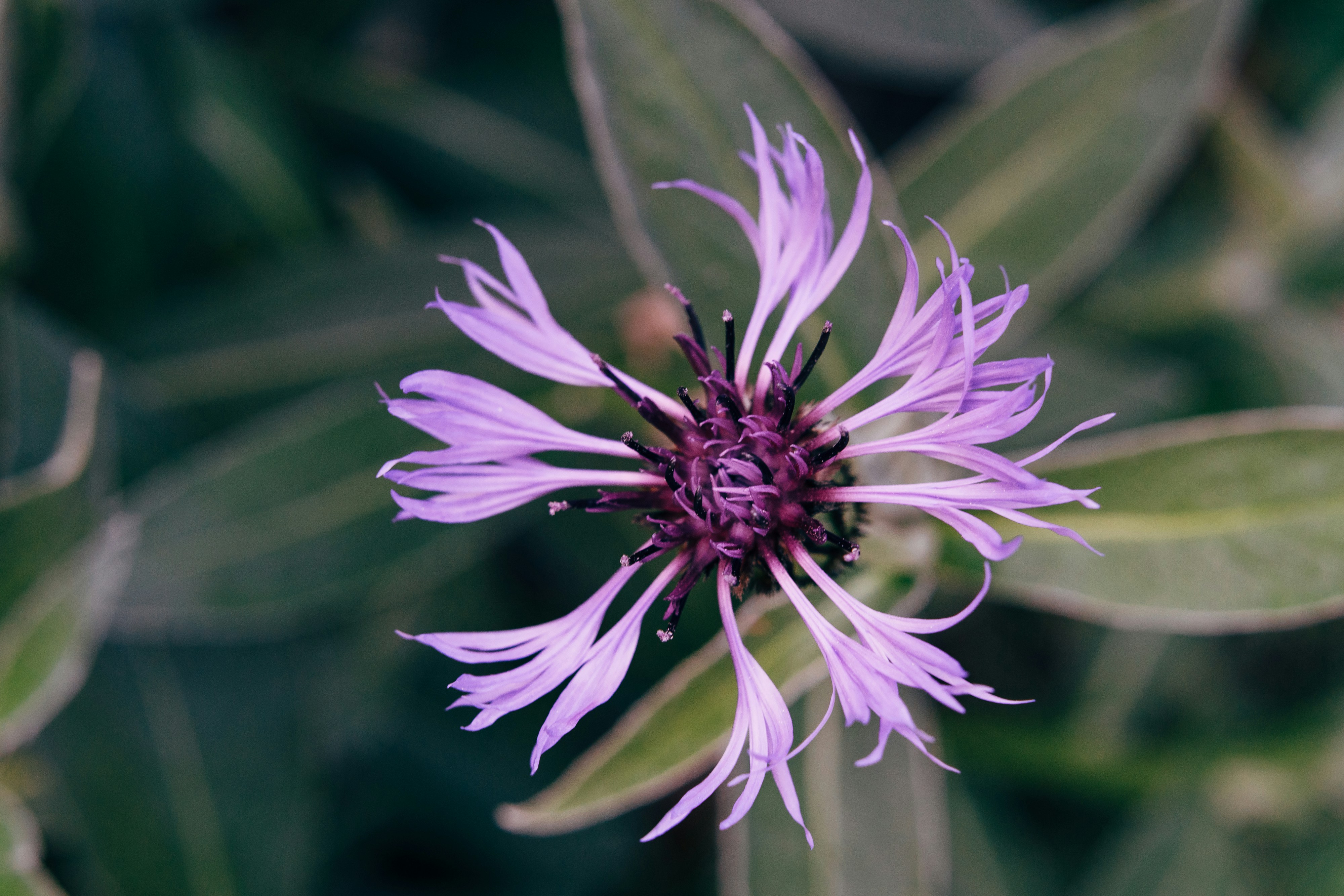 Photo by markuswinkler