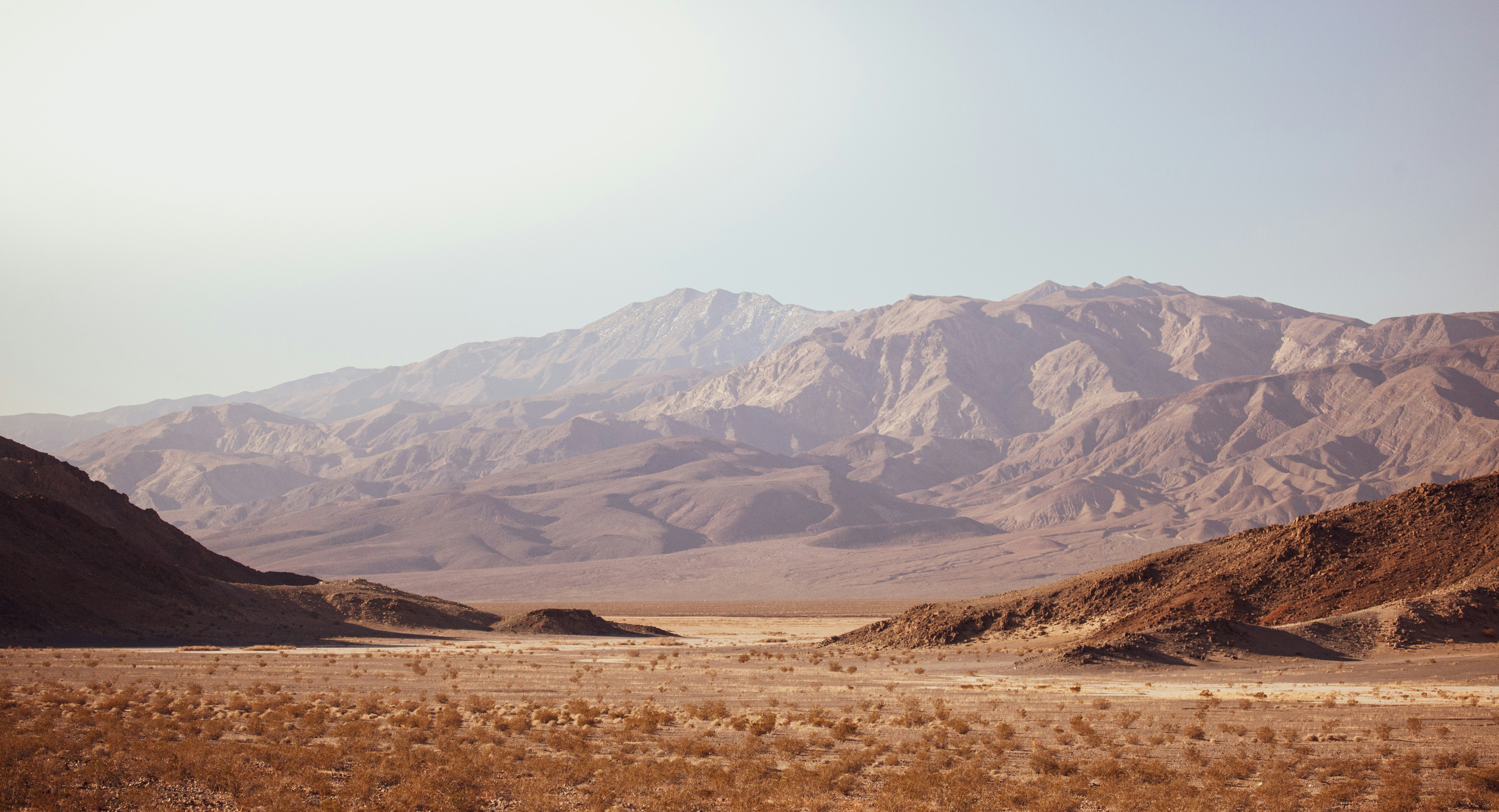 Death Valley Could See A Superbloom In 2026 And You Should Be There To Witness It