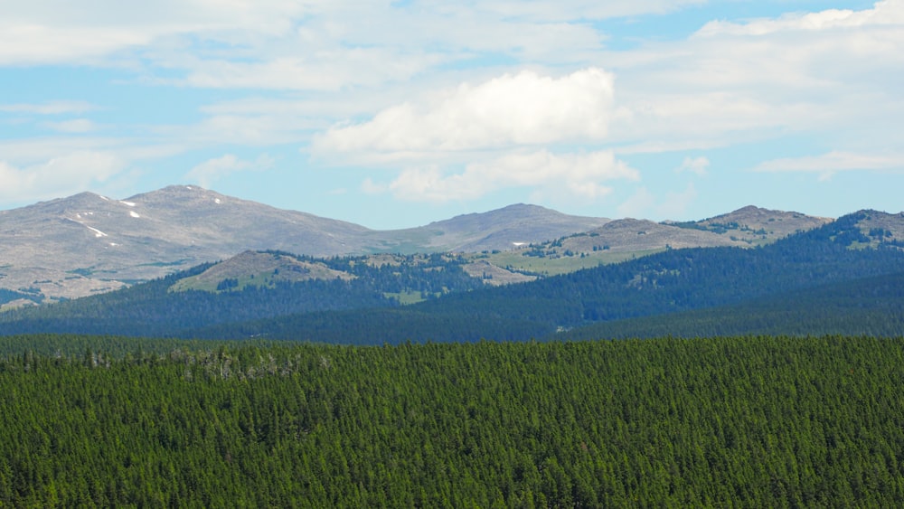 green grass field near mountain under white clouds during daytime