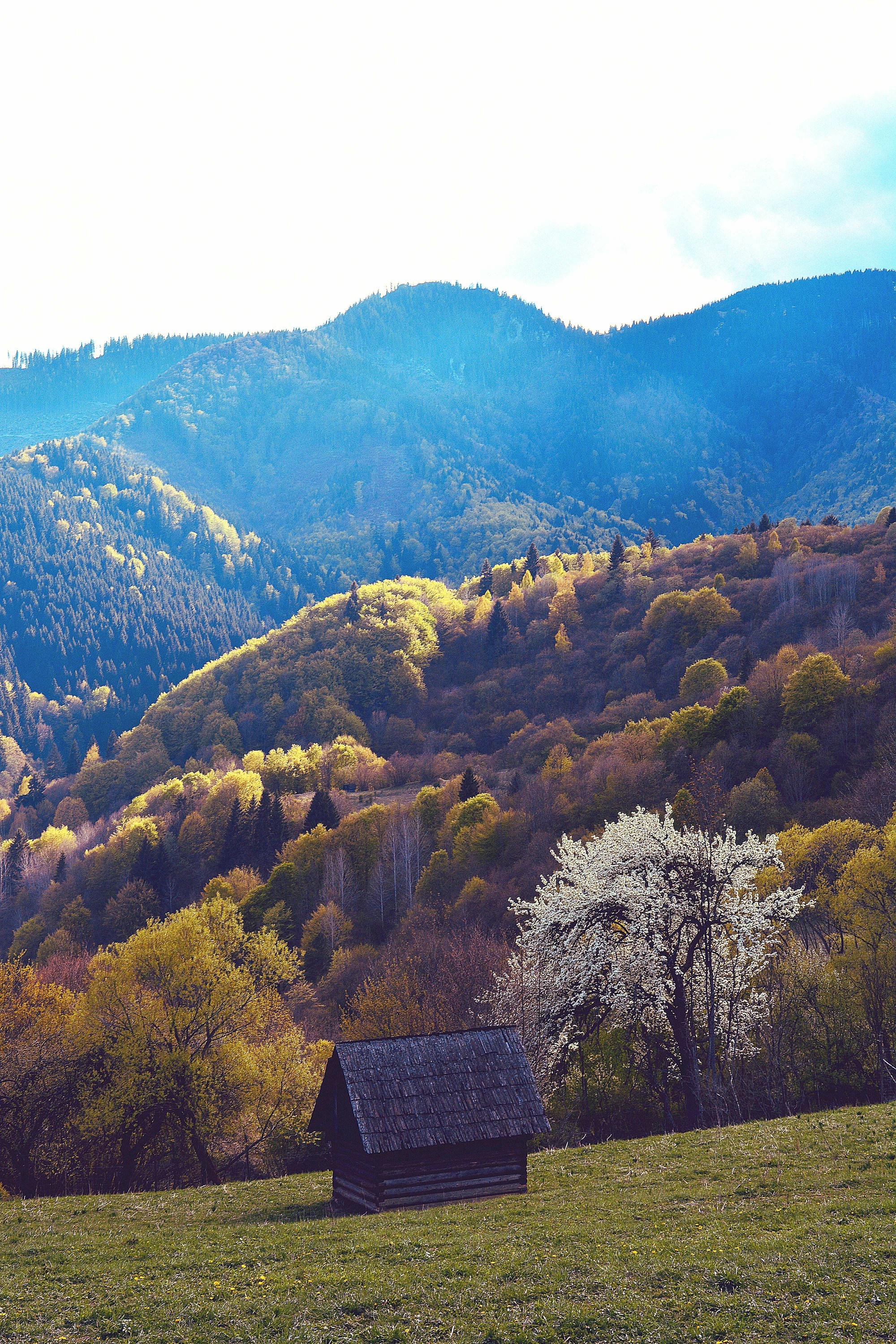Optimal Weather Seasons & Months to Explore Slovakia