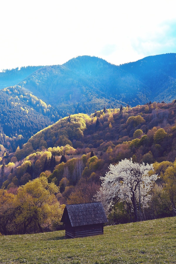 Optimal Weather Seasons & Months to Explore Slovakia