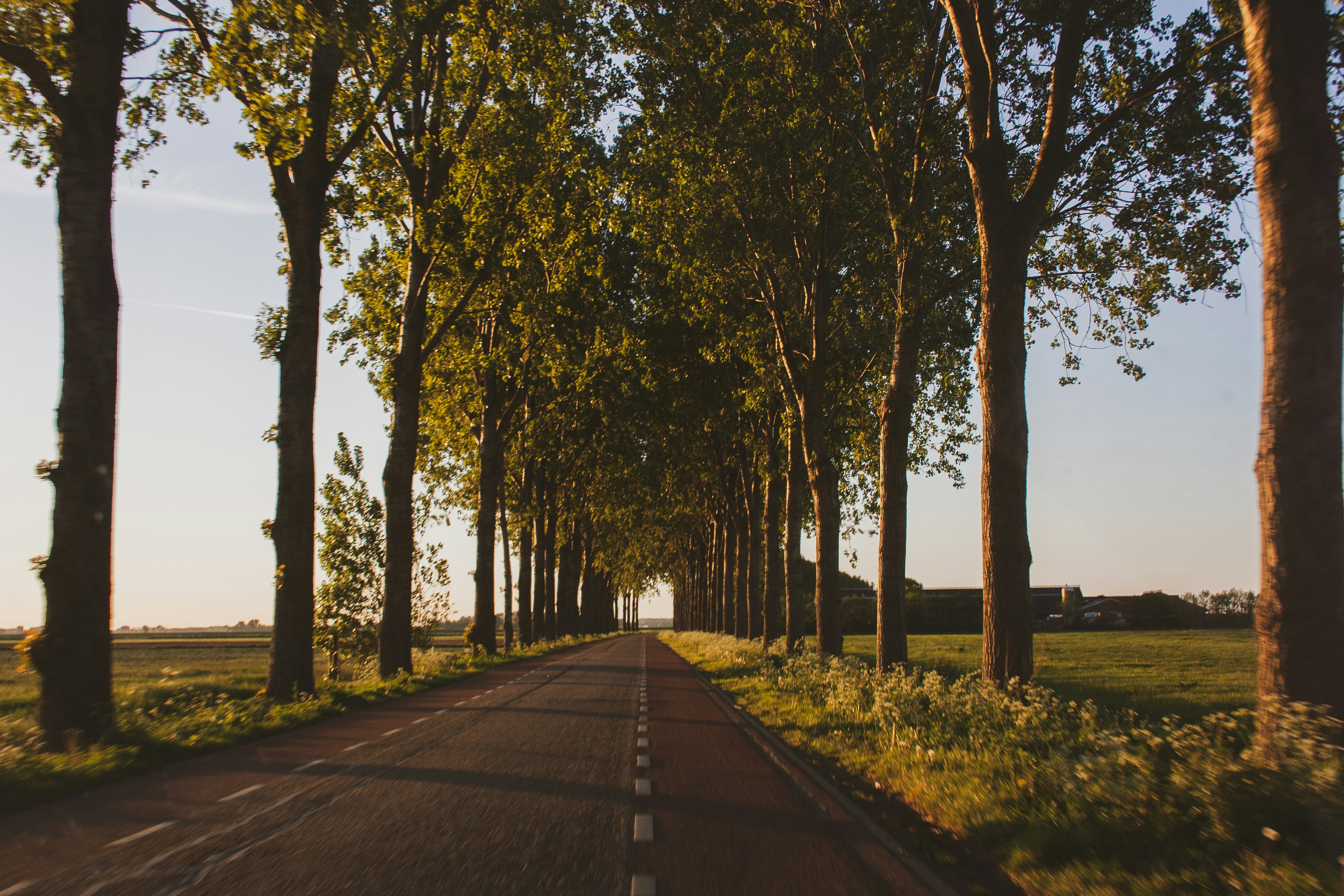 Photo by yann_vissers